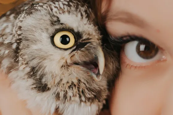 קזינו לאקי 31 תמיכה